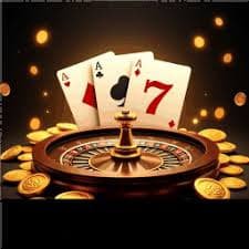23win66